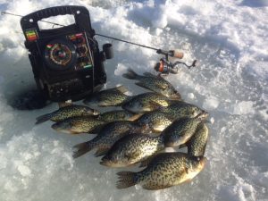 Chequamegon Bay Ice Fishing Report
